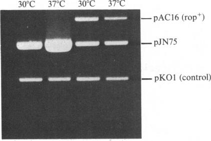 graphic file with name pnas00615-0234-a.jpg