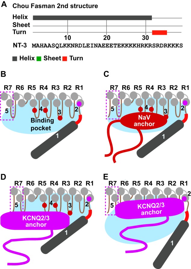 FIGURE 10.