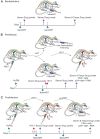 Figure 1.