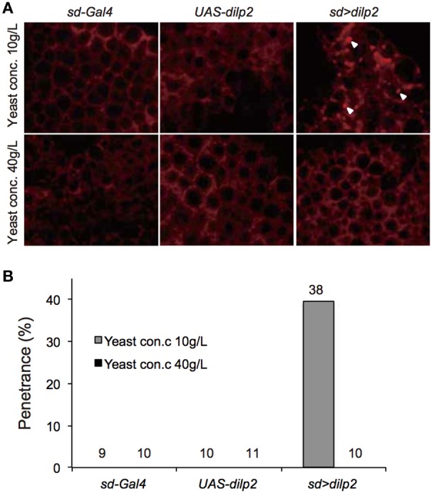 Figure 10