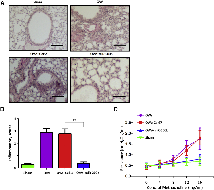 Figure 6