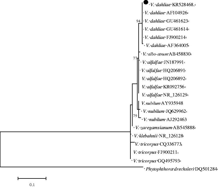 Figure 4.