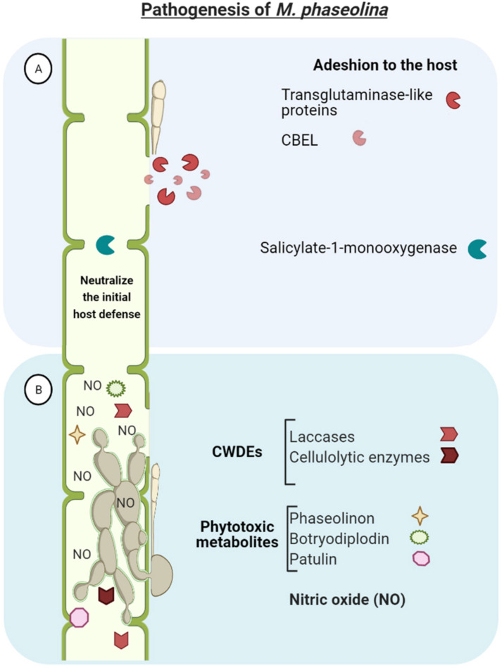 FIGURE 3