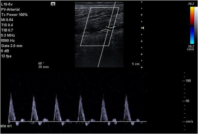 Fig. 7