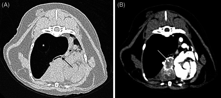 FIGURE 1