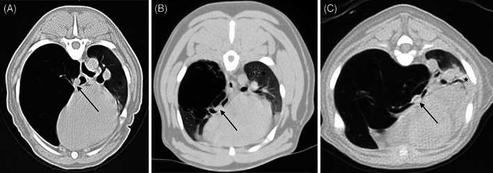 FIGURE 3