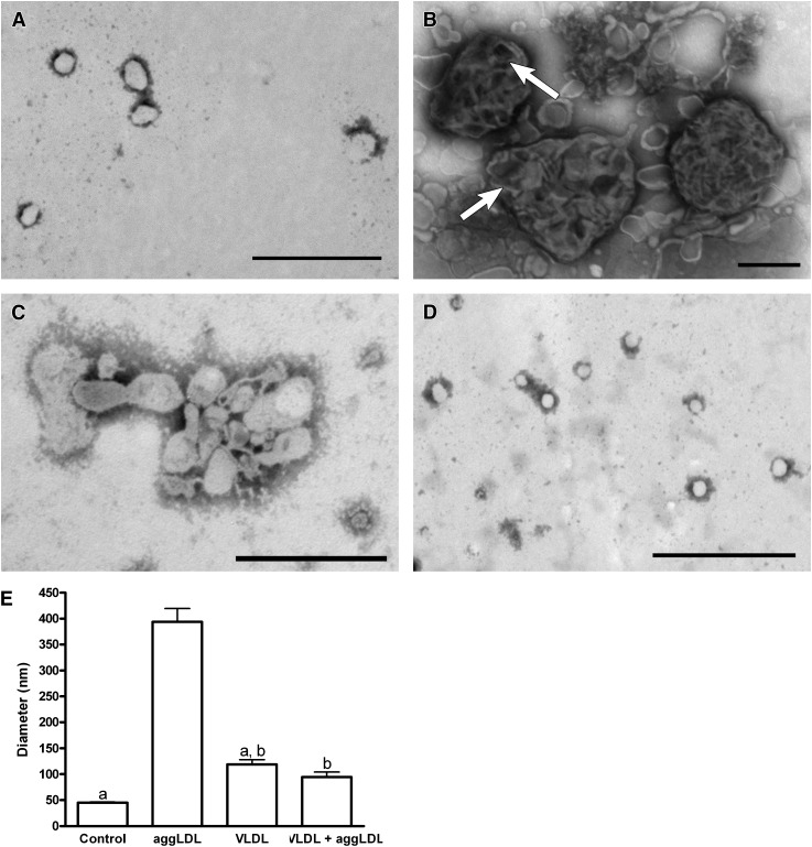 Fig. 4.