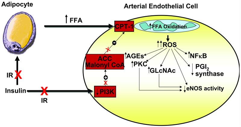 Fig.6