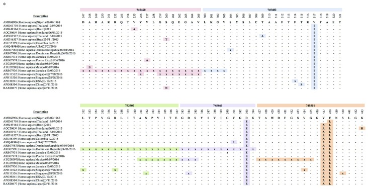 Figure 2C. 