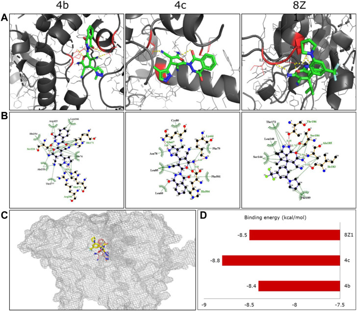 FIGURE 3