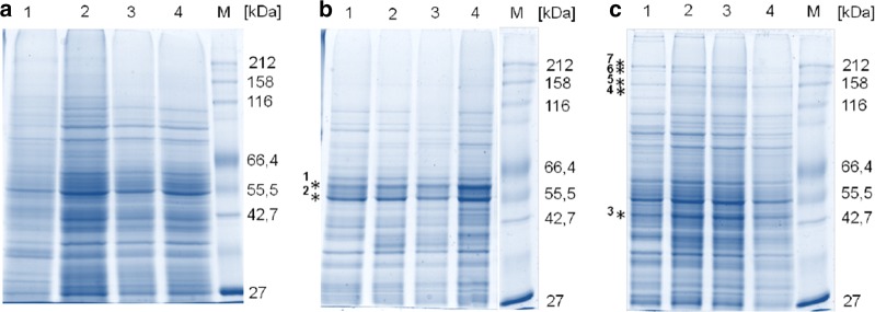 Fig. 5