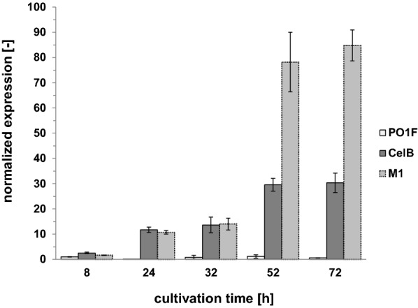 Fig. 3