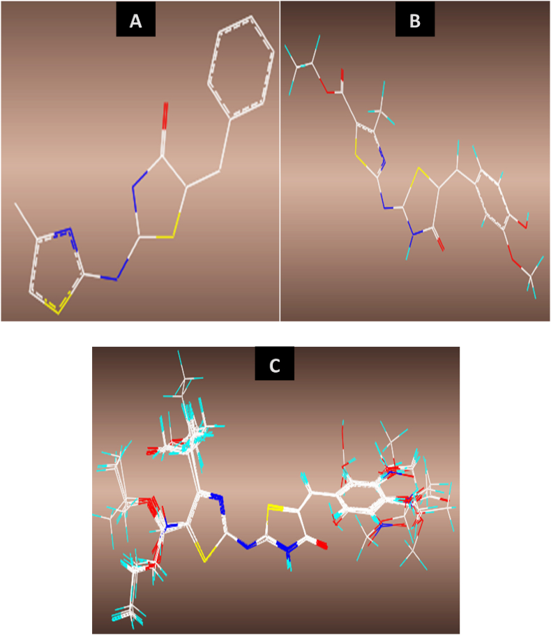 Figure 1