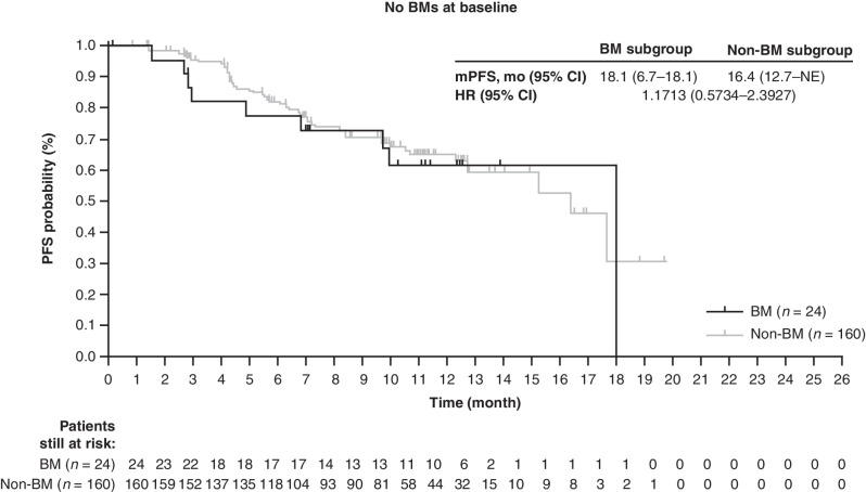 Figure 1. PFS. Kaplan–Meier analyses in the BM and non-BM subgroups. The tick marks in each panel indicate patient data that were censored.