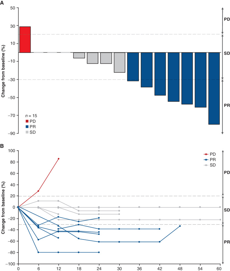 Figure 2. Central nervous system response. A, Best response in brain lesions in patients with stable BMs in the BM subgroup. B, Brain lesion measurements over time in patients with stable BMs in the BM subgroup. Three patients with reported baseline measurements had no change over time. Two patients with brain metastases at baseline did not have sufficient data to evaluate response in the brain and are not shown.