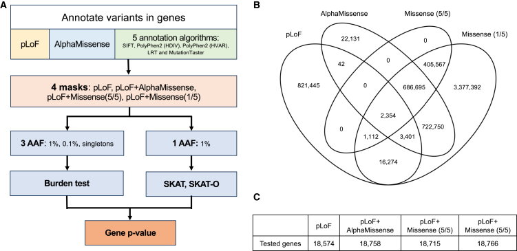 Figure 1