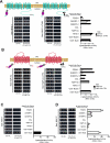 F<sc>ig</sc>. 4.