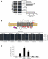 F<sc>ig</sc>. 5.