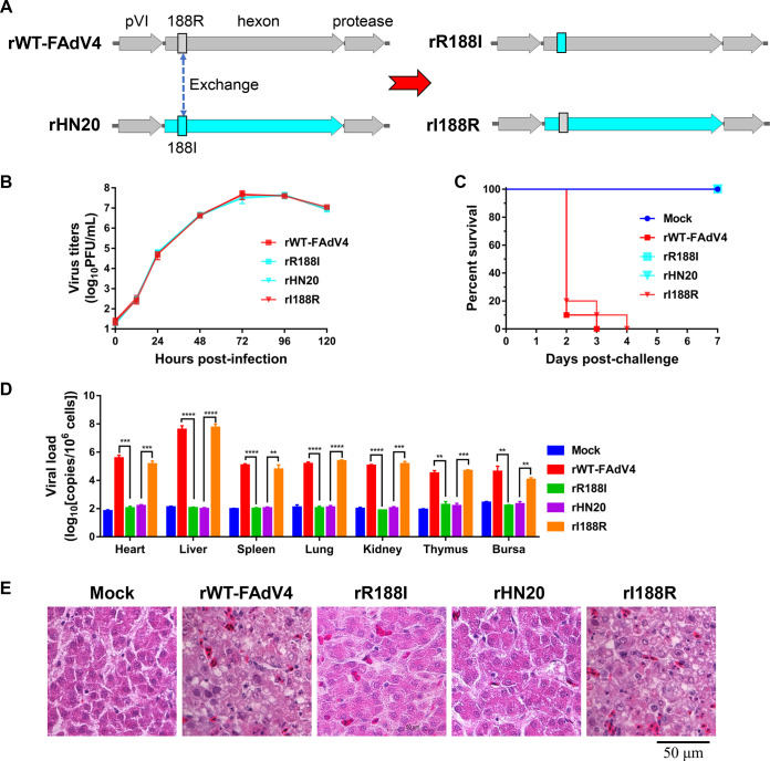 FIG 3