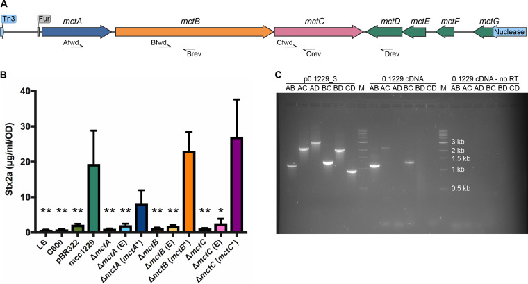 FIG 3