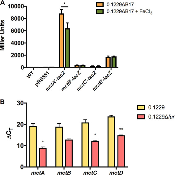 FIG 4