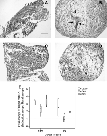 FIG. 8.