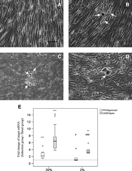 FIG. 7.