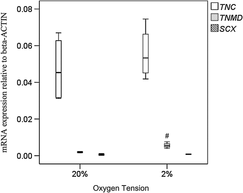 FIG. 10.