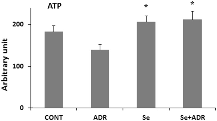 Fig. 6