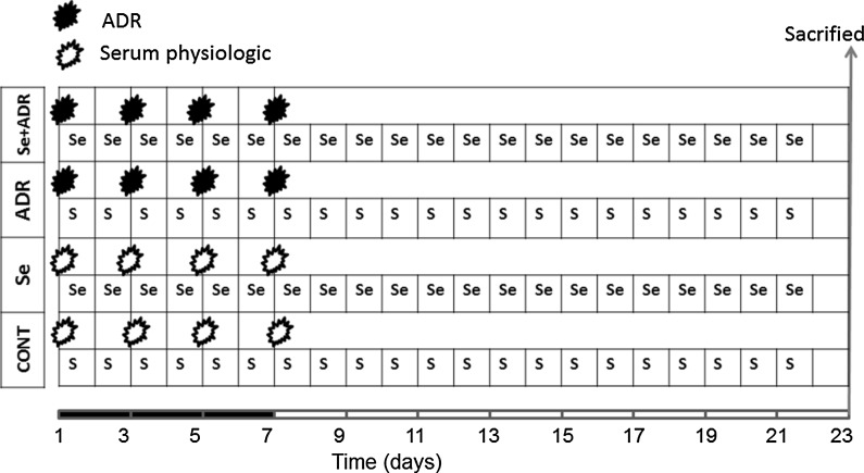 Fig. 1