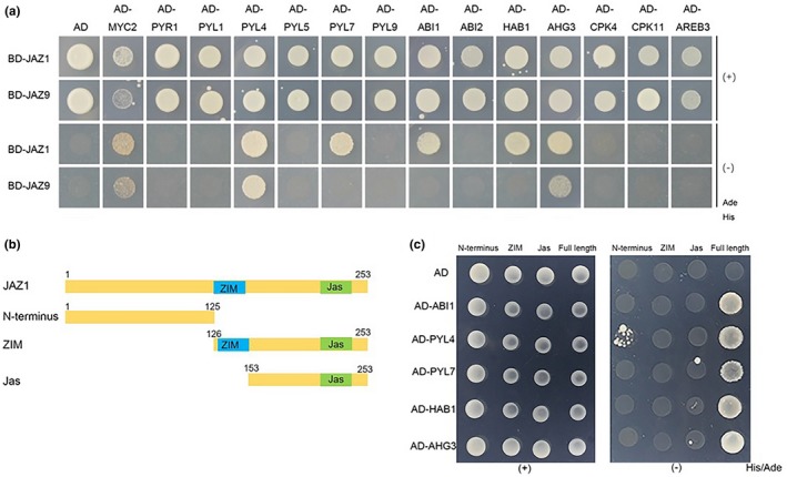 FIGURE 3