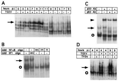 FIG. 7