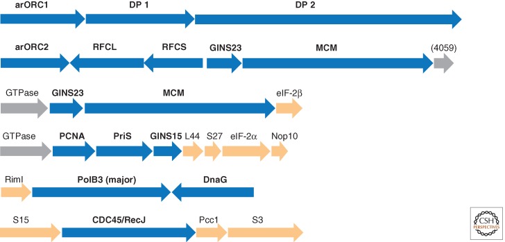 Figure 5.