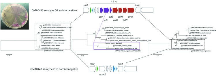 Fig. 4.