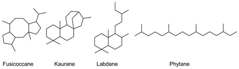 graphic file with name molecules-23-01353-i001.jpg