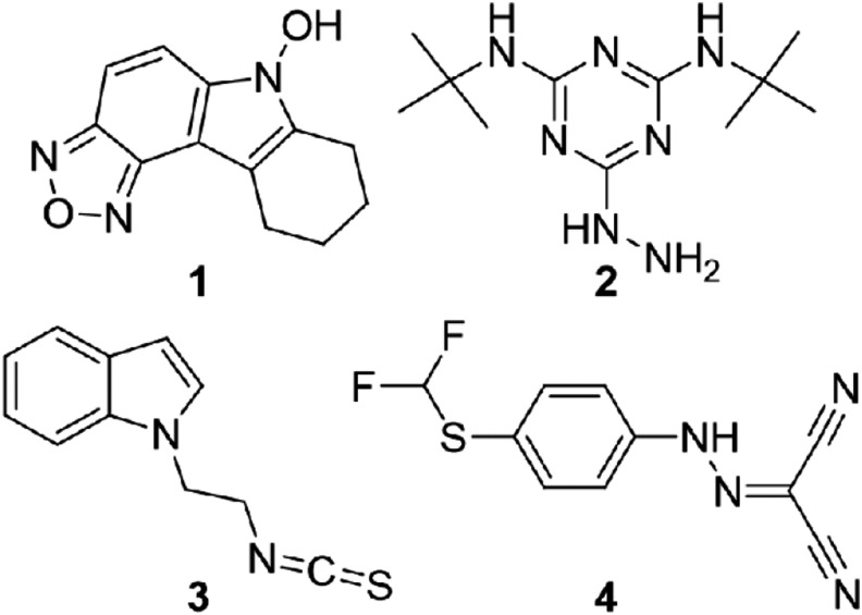 FIG. 1.