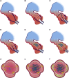 Fig 5