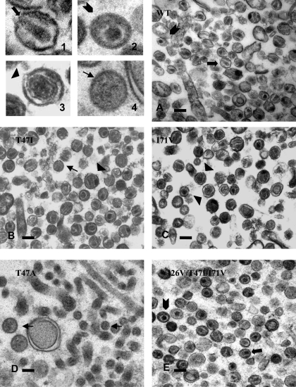 FIG. 6.