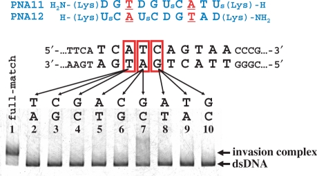 Figure 7.