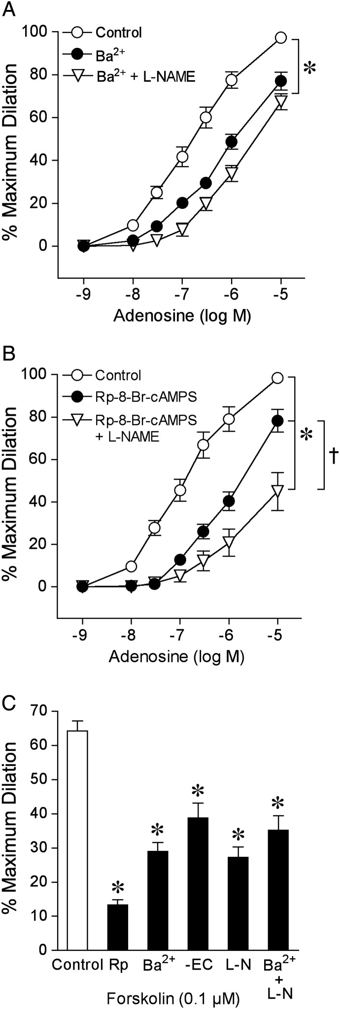 Figure 5