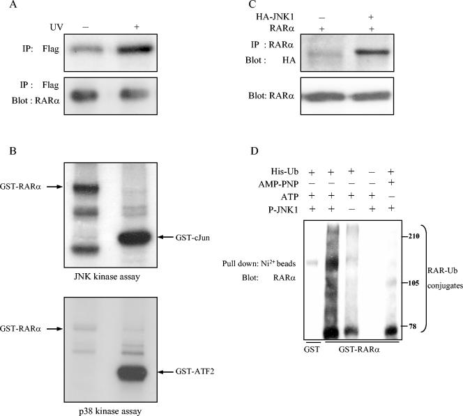 FIG. 5.