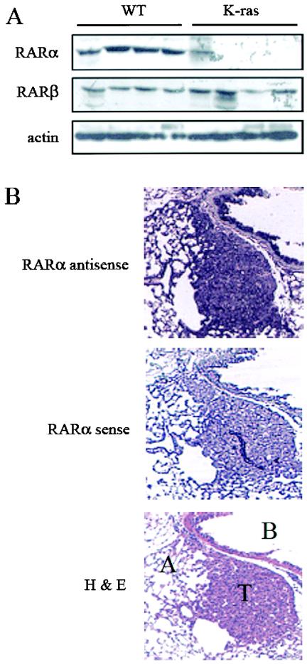 FIG. 8.