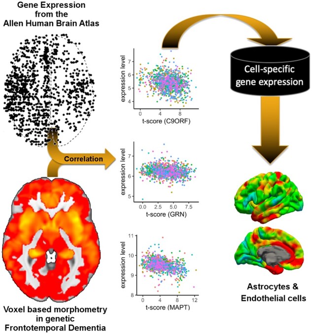 Graphical Abstract