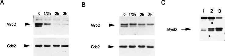 FIG. 5