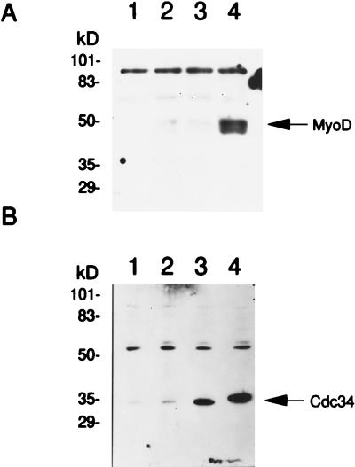 FIG. 6