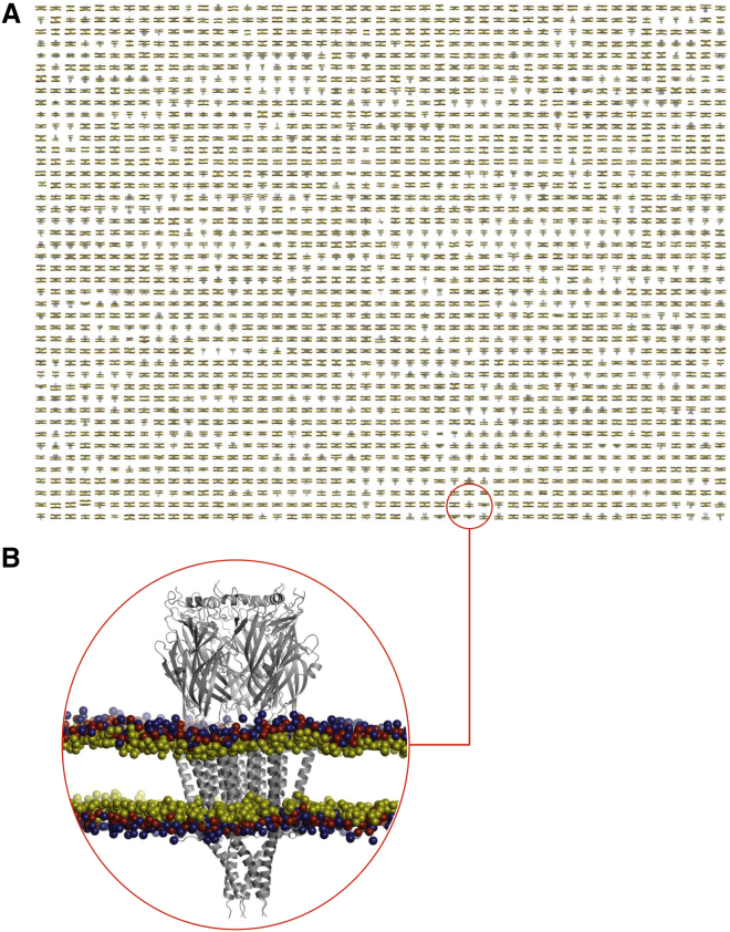 Figure 2