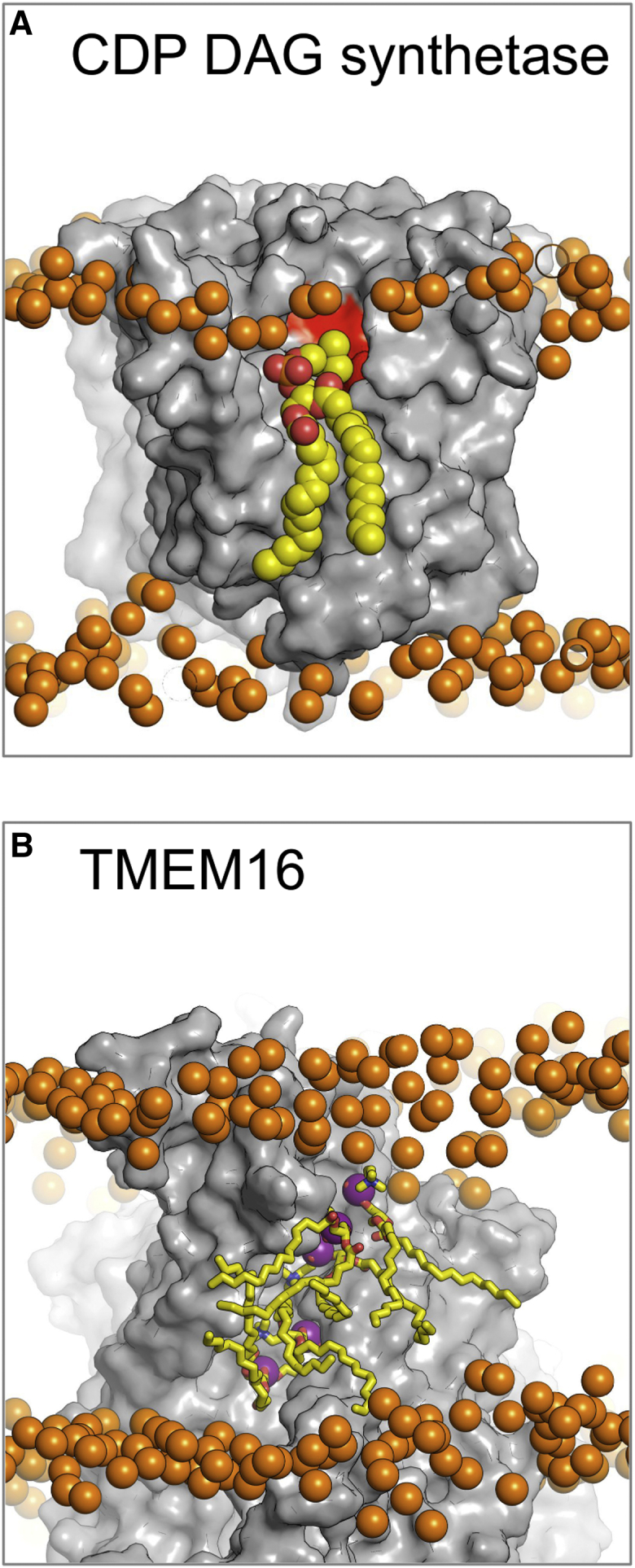 Figure 4