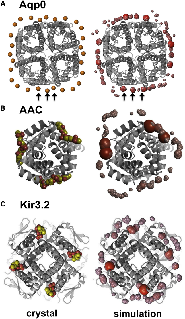 Figure 3