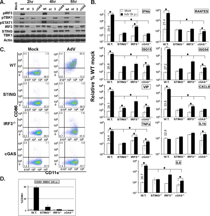 FIG 3