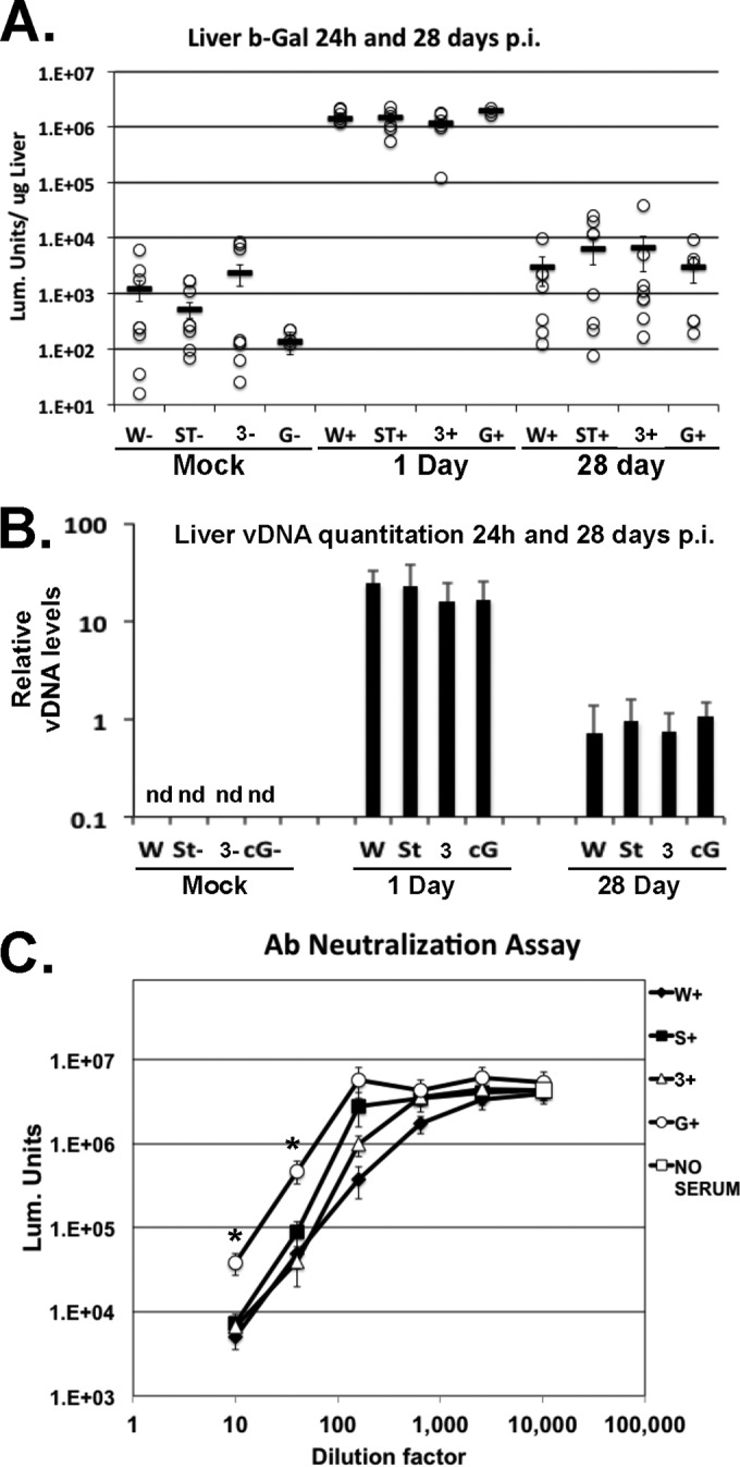 FIG 6